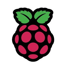 Raspberry Pi logo (a raspberry)