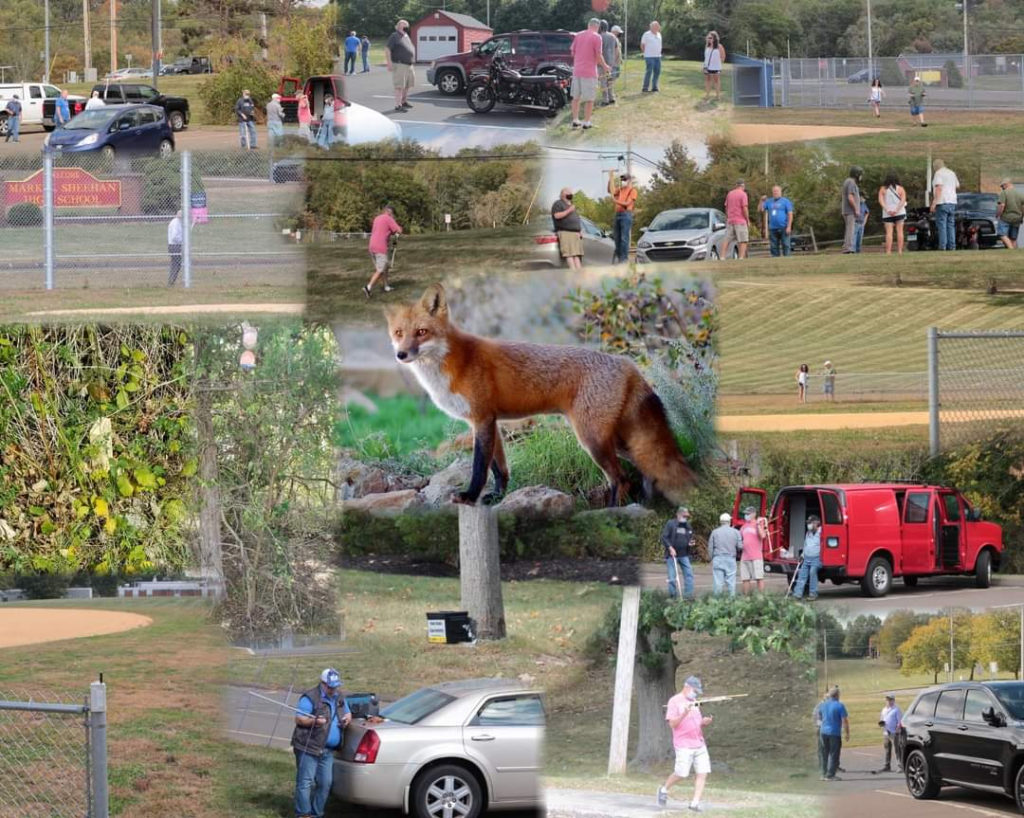 Photo collage of intrepid club members attempting to find the hidden "fox" transmitter, with a photograph of a real fox in the center.